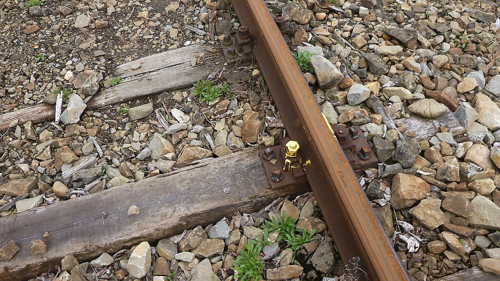 815_3D_P1200248.JPG