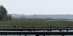 218_IMG_x53082