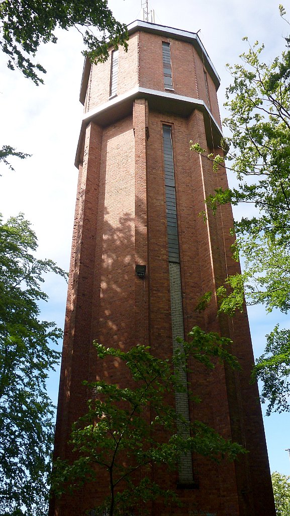 664_3D_P1220331.JPG
