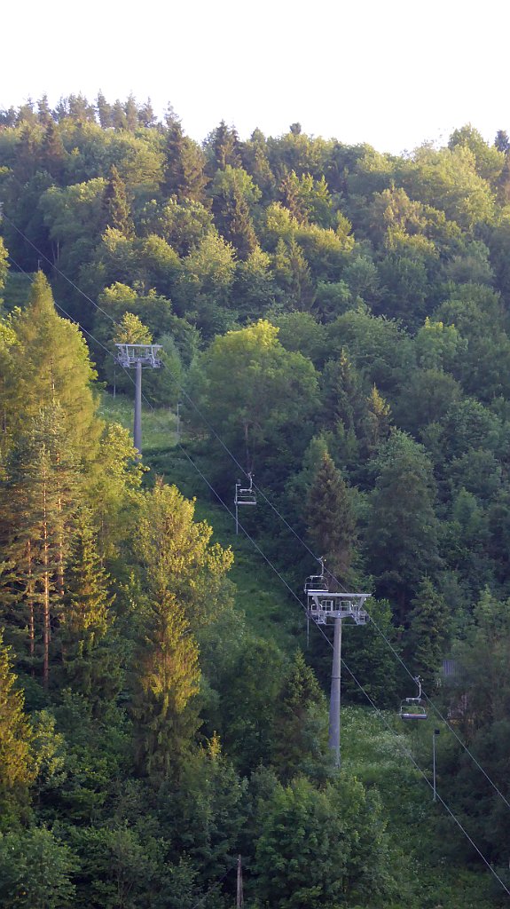 956_TZ60_P1180500.JPG