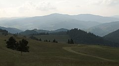 810_IMG_x54568