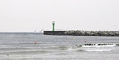 132_IMG_x55286