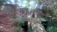 416_A806_IMG_20170811_104918