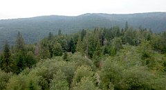 385_A806_IMG_20170826_125912