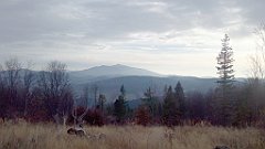 063_A806_IMG_20171106_081256