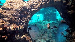 024_A806_IMG_20171210_101407