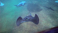 127_A806_IMG_20171210_105736