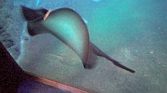 128_A806_IMG_20171210_105740