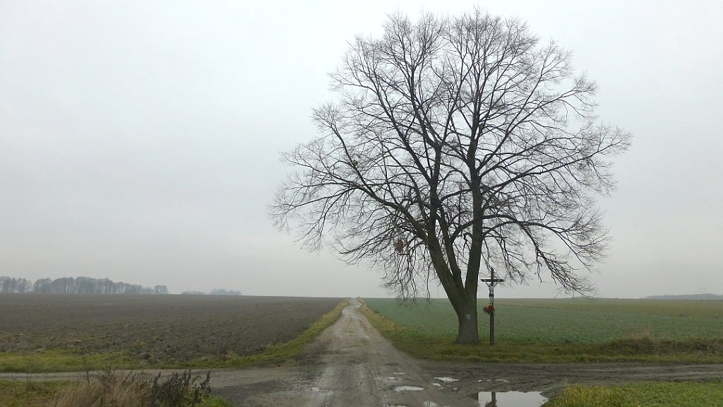 285_TZ_P1160123.JPG