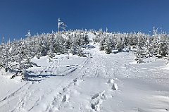 315_iP_180301_IMG_0674