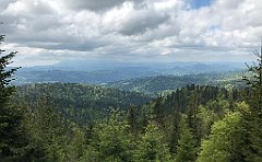 181_iP_180514_IMG_1211