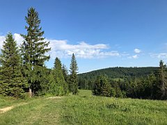 074_iP_180527_IMG_1271