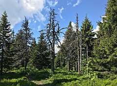 170_iP_180527_IMG_1297