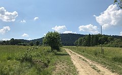 230_iP_180601_IMG_1601