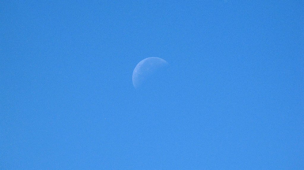 172_IMG_x27114.JPG
