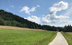 231_ip_20180712_IMG_2125