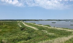 252_iP_20180723_IMG_2260