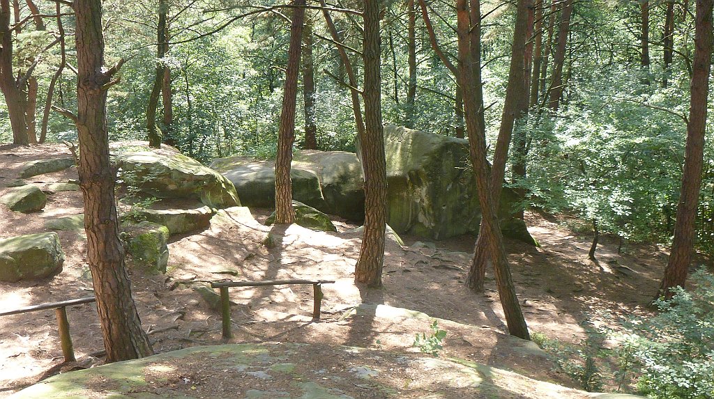 198_3D_P1330081.JPG