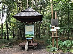 414_iP_180821_IMG_2530