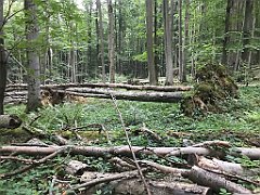 470_iP_180821_IMG_2534