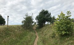054_iP_180828_IMG_2576
