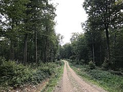 409_iP_180828_IMG_2960