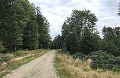 412_iP_180828_IMG_2964