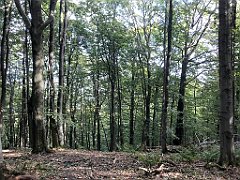 157_iP_180928_IMG_2979