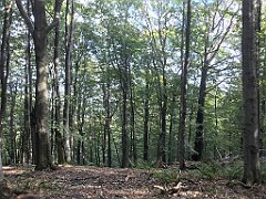 158_iP_180928_IMG_2980