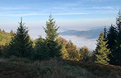 058_iP_181009_IMG_3082