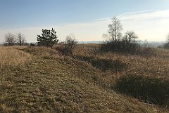 053_iP_181110_IMG_3213