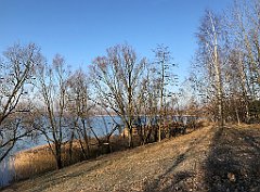 007_iP_181130_IMG_3252