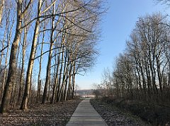 010_iP_181130_IMG_3256