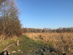 017_iP_181130_IMG_3266
