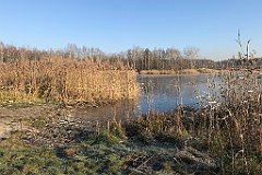 018_iP_181130_IMG_3267