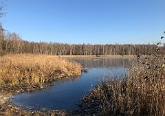 024_iP_181130_IMG_3270