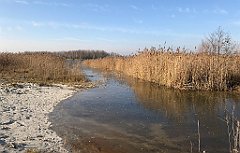 081_iP_181130_IMG_3312