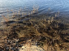 114_iP_181130_IMG_3327