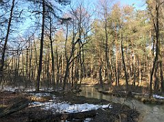 215_ip_190218_IMG_3582