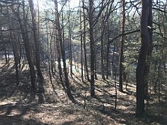 228_ip_190218_IMG_3595