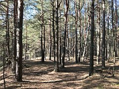 240_ip_190218_IMG_3598