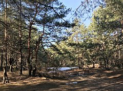 246_ip_190218_IMG_3605