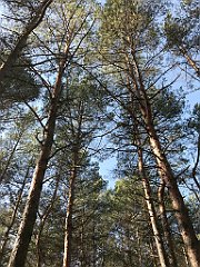 254_ip_190218_IMG_3618