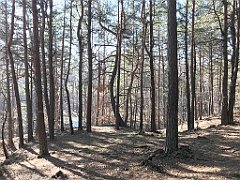 271_ip_190218_IMG_3623