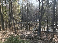 294_ip_190218_IMG_3631
