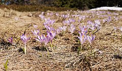 142_p20_IMG_20190420_131539