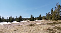 147_p20_IMG_20190420_131633