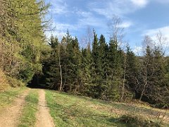 244_iP_190420_IMG_3777