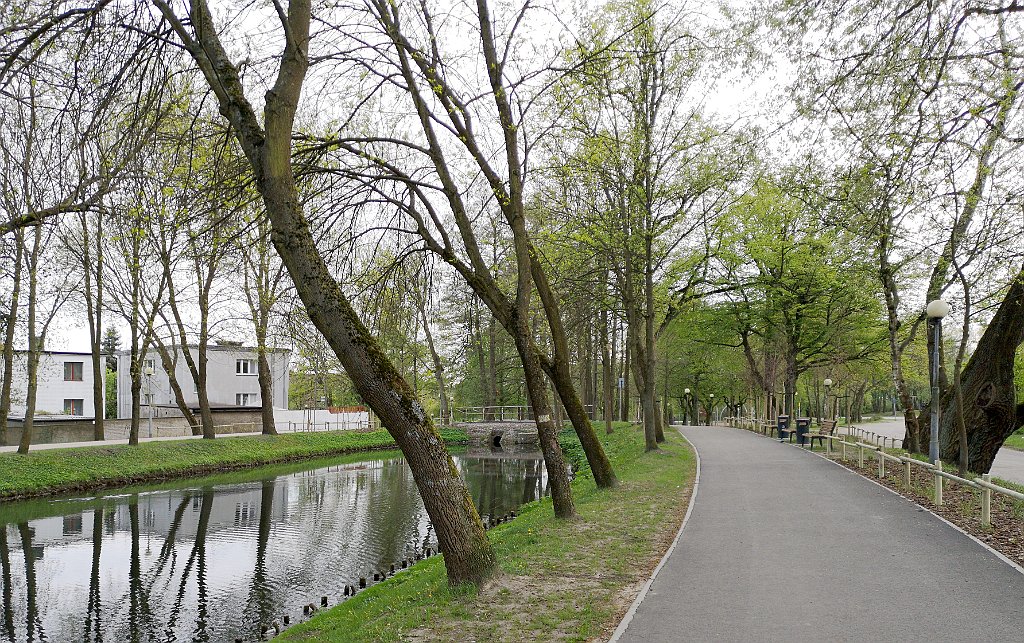 481_p20_IMG_20190430_185712.jpg - rrem