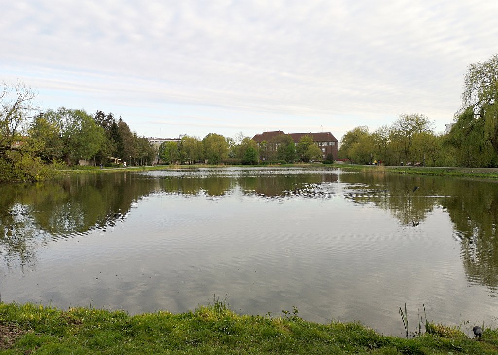 486_p20_IMG_20190430_185931.jpg - rrem